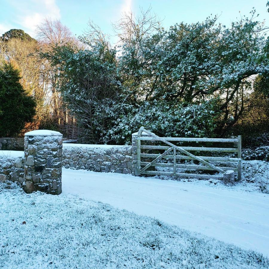 Bryansford Cottage Stables Esterno foto